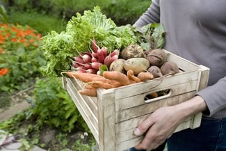 hunter gatherer inbound marketing rewards the hunter/gatherer