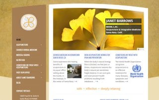 Acupuncture Web Design