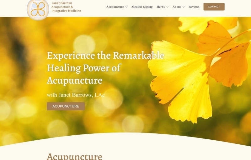 janet barrows acupuncture website portolio janet barrows acupuncture website portolio