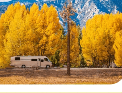 Subscription RV Park Websites